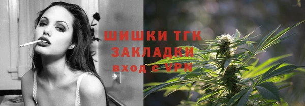 гашик Балахна