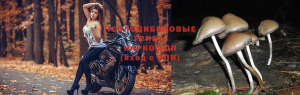 a pvp Баксан